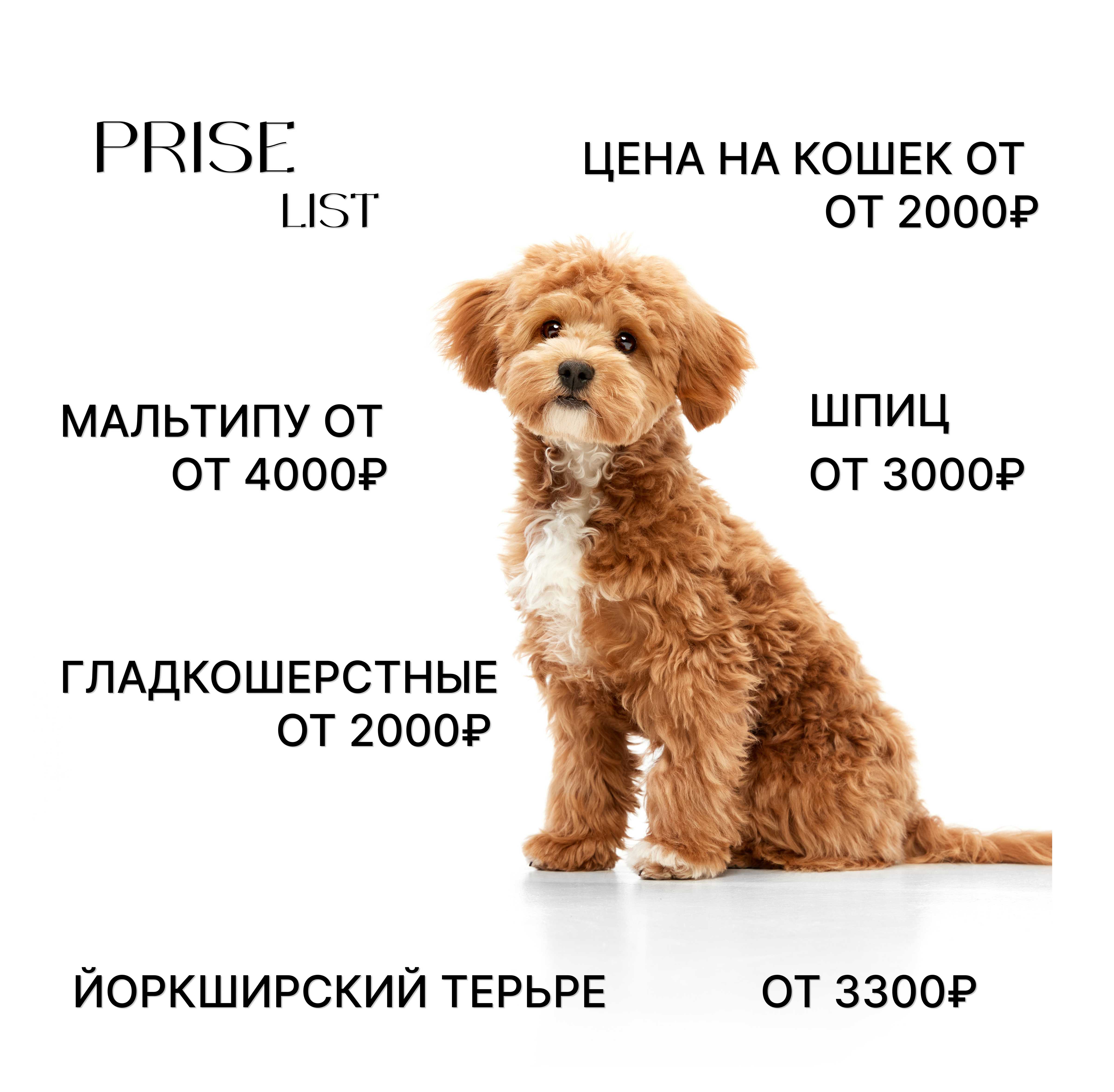 Прайс-лист Bonshery